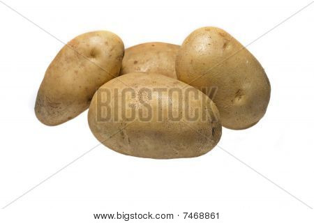 감자