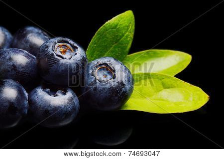 Macro Closeup View Blueberries Leaves Isolated Black