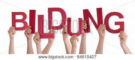 People Holding German Word Bildung Means Education