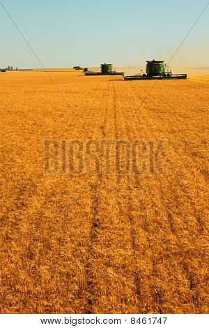 Harvest