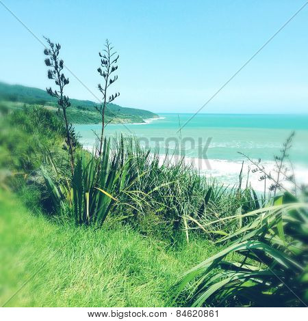 Shoreline and water, Raglan, New Zealand