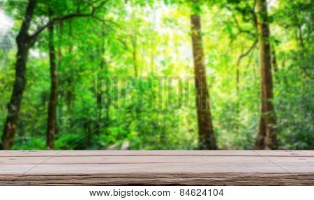 Forest with wood planks floor
