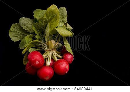 Bunch Of Radish