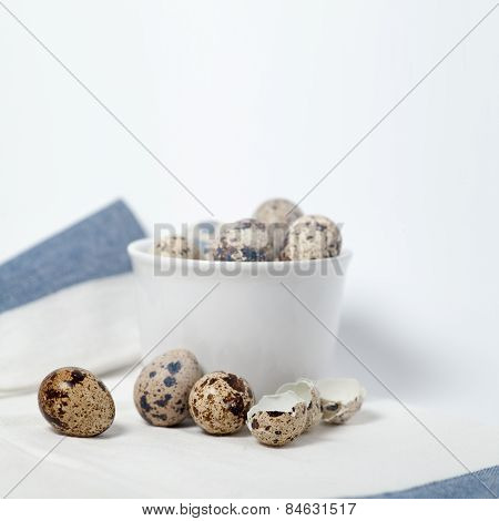 Quail Eggs Still Life On Wite Tablecloth