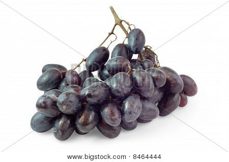 검은 포도의 무리