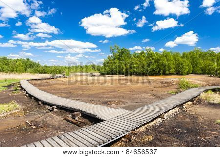 nature reserve called Soos, Czech Republic