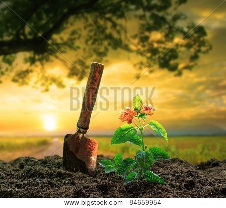 Flowers Plant And Gardening Tool Against Beautiful Sunlight In Green Park Use For People Activities