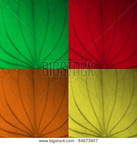 Leaf Texture Four Color Set