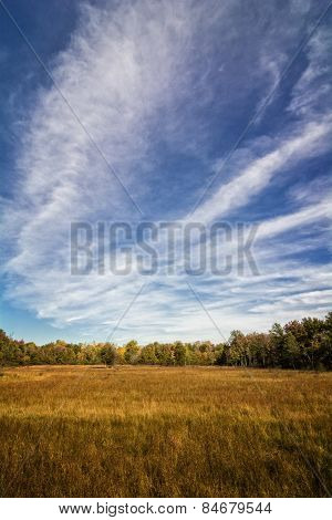 Autumn Prairie