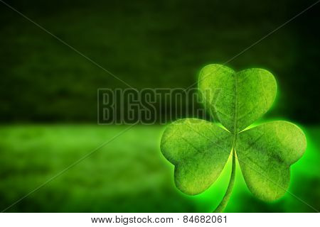 Shamrock against two shades of green grass