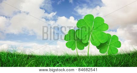 Grass against blue sky with white clouds