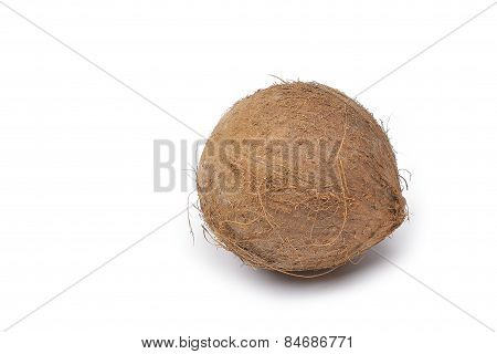 Coconut On A White Background