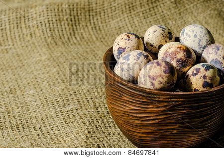 eggs of quail