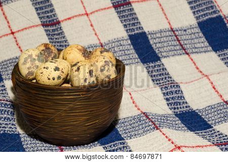 eggs of quail