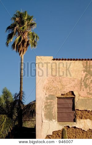 Motelpalm02