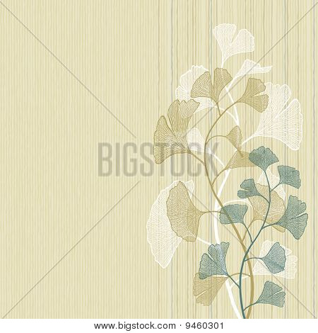 Ginkgo háttér
