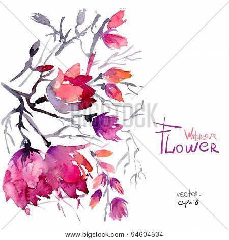 Watercolor spring flowers