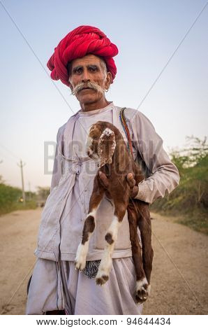 GODWAR REGION, INDIA - 13 FEBRUARY 2015: Elderly Rabari tribesman stands and holds goatling. Rabari or Rewari are an Indian community in the state of Gujarat.