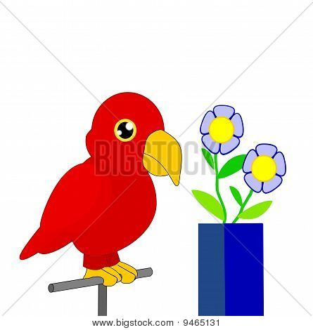Perroquet rouge