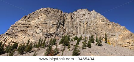 Levinski ridge