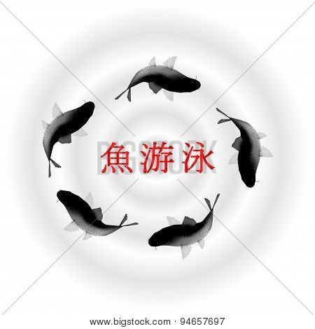 fish in water, Chinese vector