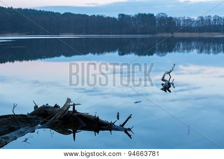 Sunrise Over Beautiful Wild Lake