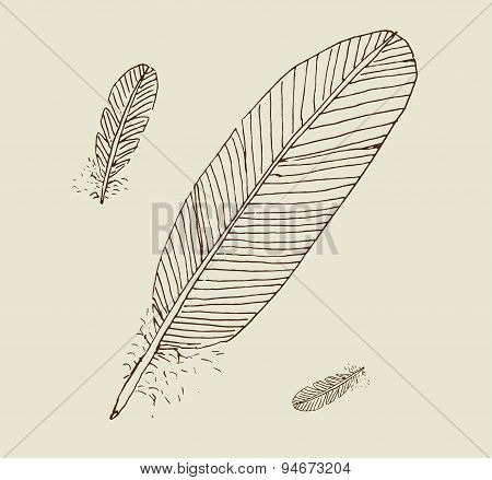 Feathers