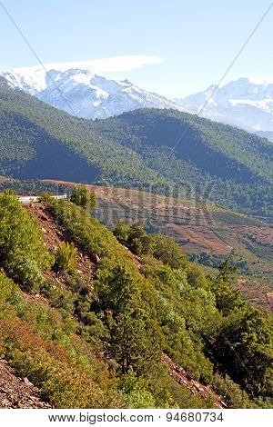 The Dades Valley Atlas Moroco