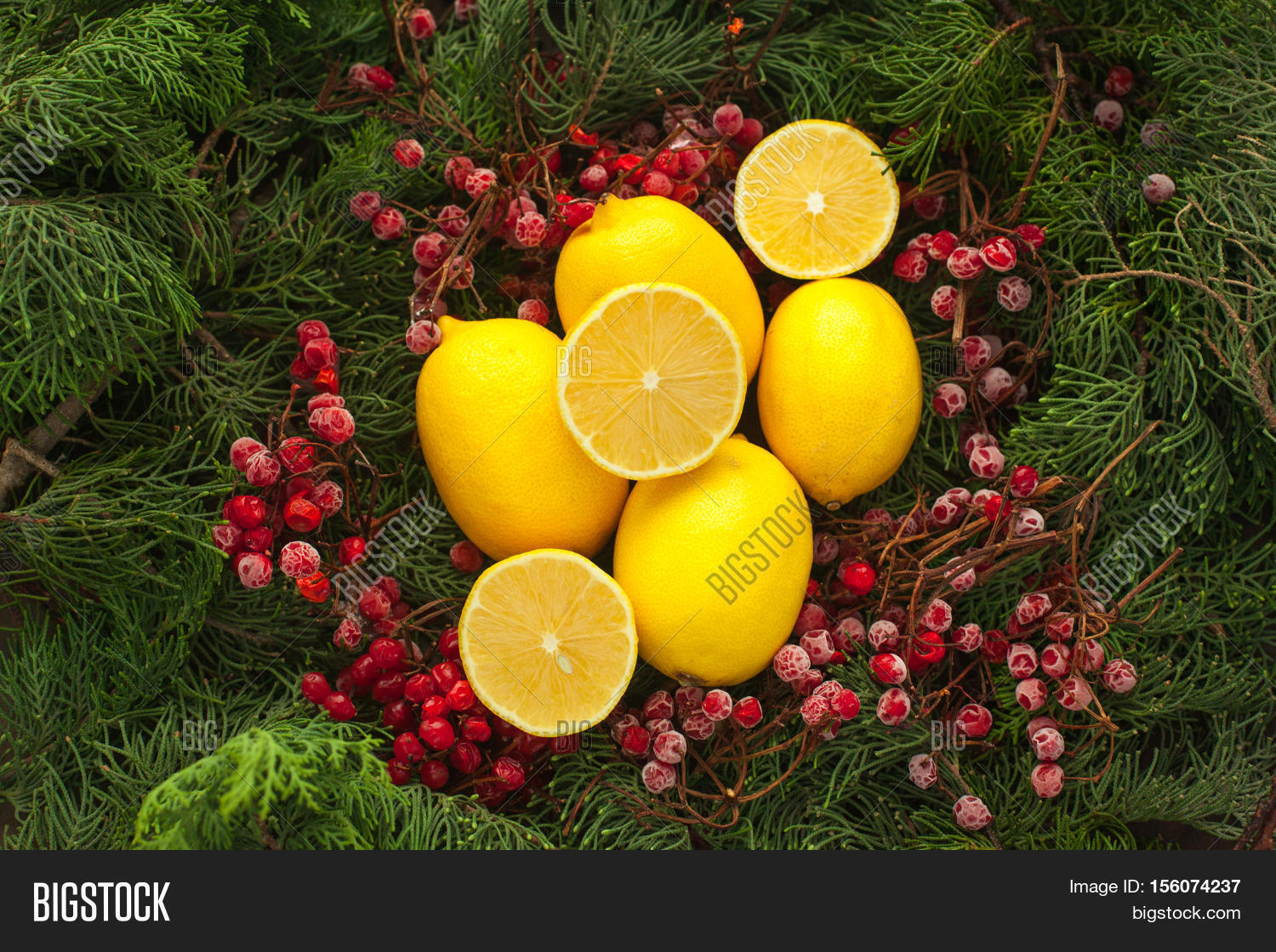 Lemon Winter Great Way Image & Photo (Free Trial) Bigstock