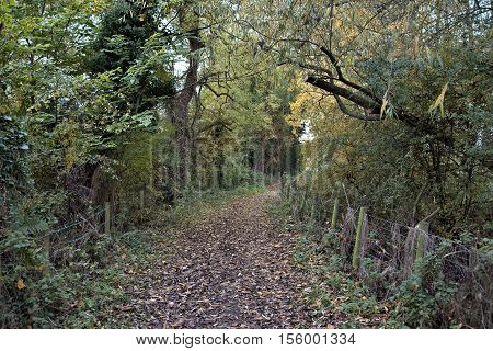 Empty countryside walking track. Baker Path Tarvin Cheshire England