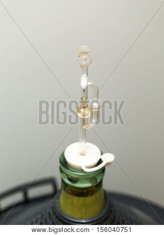 Demijohn With Glass Fermentation Lock.