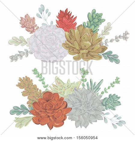 Succulents set. Collection decorative floral design elements for wedding invitations and birthday cards. Isolated elements. Vintage hand drawn vector illustration in watercolor style.