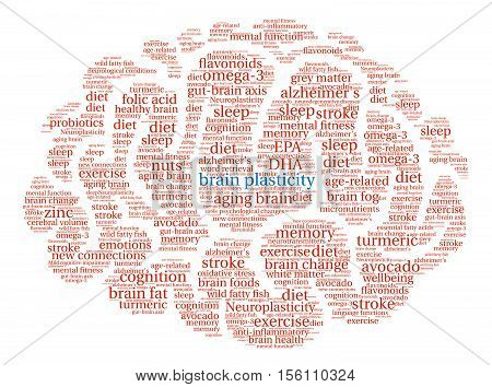 Brain Plasticity Brain Word Cloud