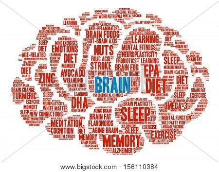 Brain word cloud on a white background.