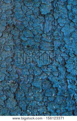 Blue tree bark as a fantastic skin and scales
