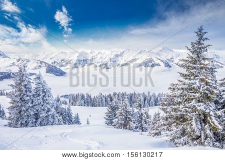 Trees Covered By Fresh Snow In Austria Alps From Kitzbuehel Ski Resort, Austria