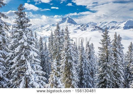 Trees Covered By Fresh Snow In Austria Alps From Kitzbuehel Ski Resort, Austria, Europe