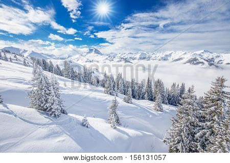 Trees covered by fresh snow in Kitzbuhel ski resort, Tyrolian Alps, Austria