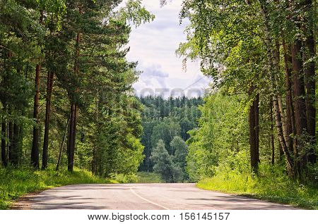 asphalt road in a summer forest overlooking the cloudy sky