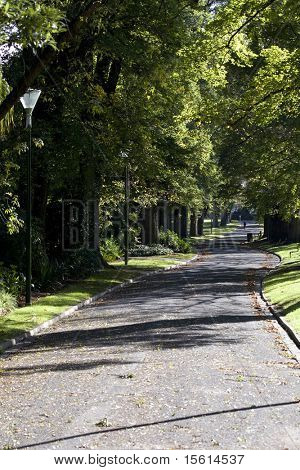im sonnigen Park Lane