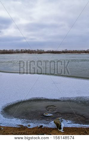 water freezes on the river bank in November
