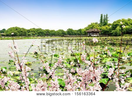 China Hangzhou West Lake natural landscape of the garden.