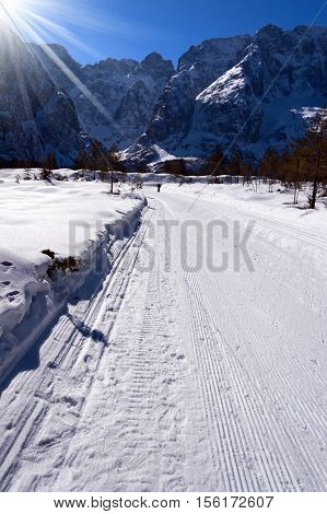 Cross Country Skiing Trail in Val Saisera (Saisera Valley) in Julian Alps. Tarvisio Friuli Venezia Giulia Italy Europe