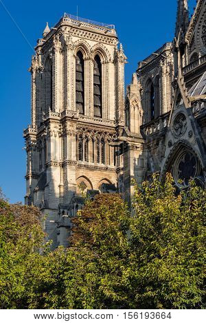 Architectural detail (French Gothic) of Notre Dame de Paris Cathedral tower in Summer morning light. Ile de la Cite, 4th Arrondissement, Paris, France