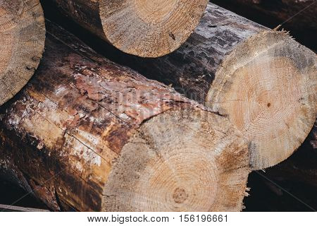 Stacked wood pine timber for construction buildings.