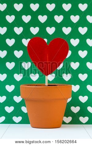 my love for you is growing against a green background