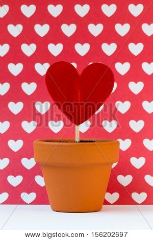 my love for you is growing against a red background
