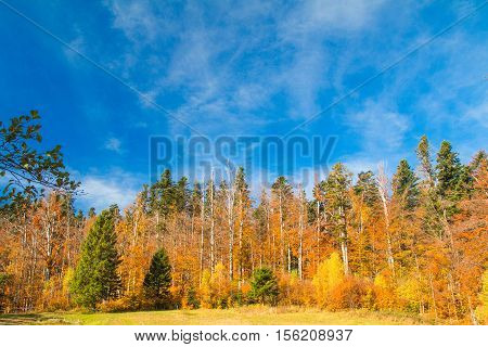 Beautiful colorful wood on lake Bajer, autumn landscape, Fuzine, Gorski kotar, Croatia