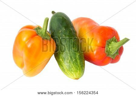 Sweet pepper and cucumber isolated on white background cutout. Capsicum colored and cucumber.