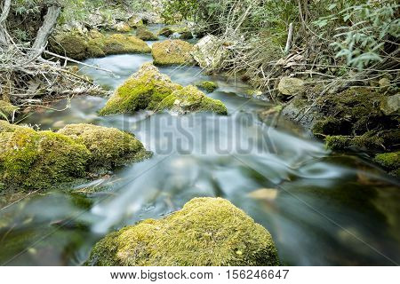 Wood River In Summer.